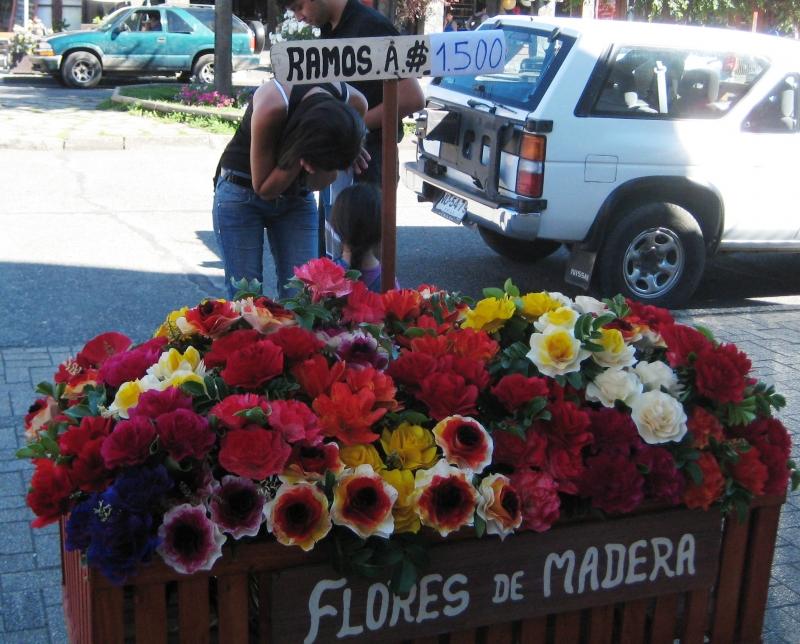 Đường phố đầy hoa trong ngày lễ tình nhân ở Chile