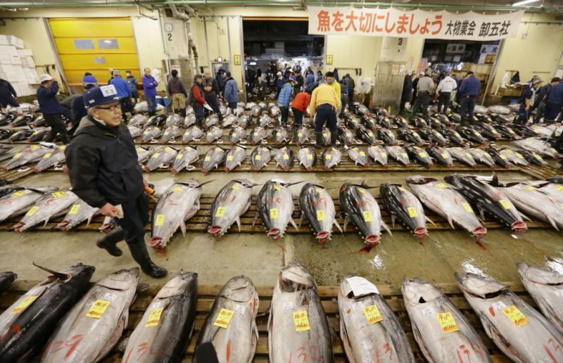 Chợ cá Tsukiji, Tokyo,Nhật bản