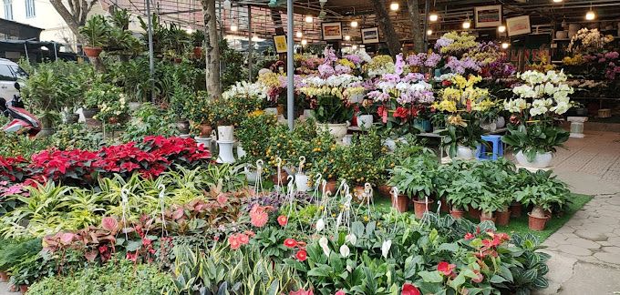 Chợ hoa Hà Đông