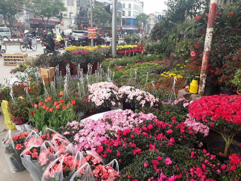 Chợ hoa Hàng Hoa Thám