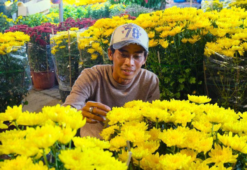 Chợ hoa Ninh Kiều