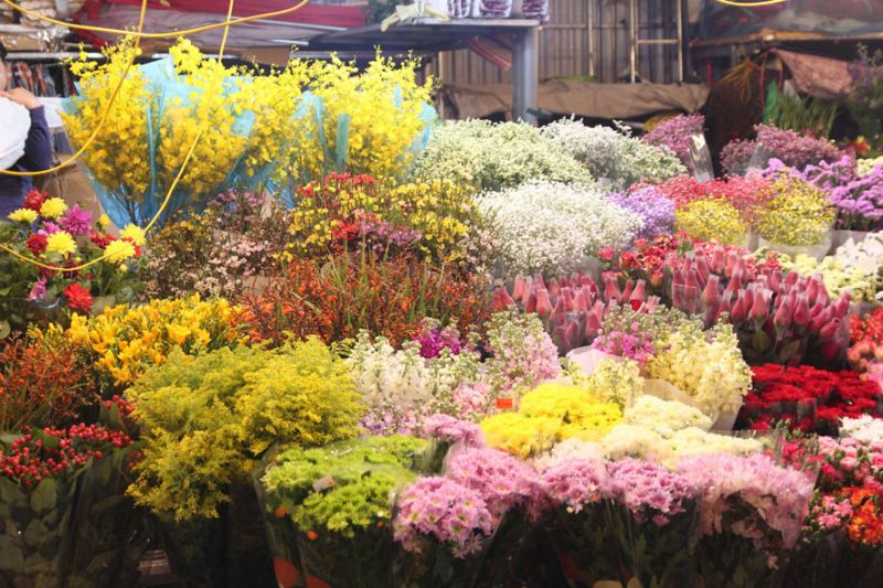 Chợ hoa Quảng An