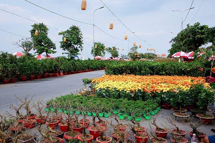 Chợ hoa Xuân Bình Điền