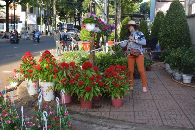Chợ hoa Xuân Long Biên - Gia Lâm