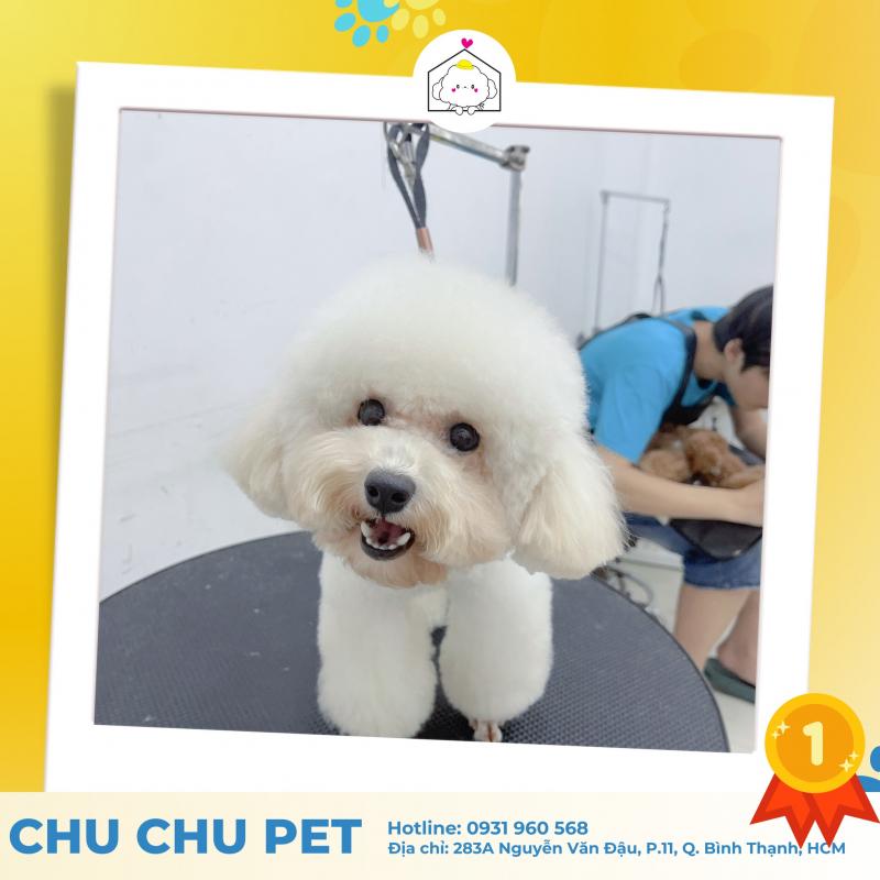 ChuChu Pet