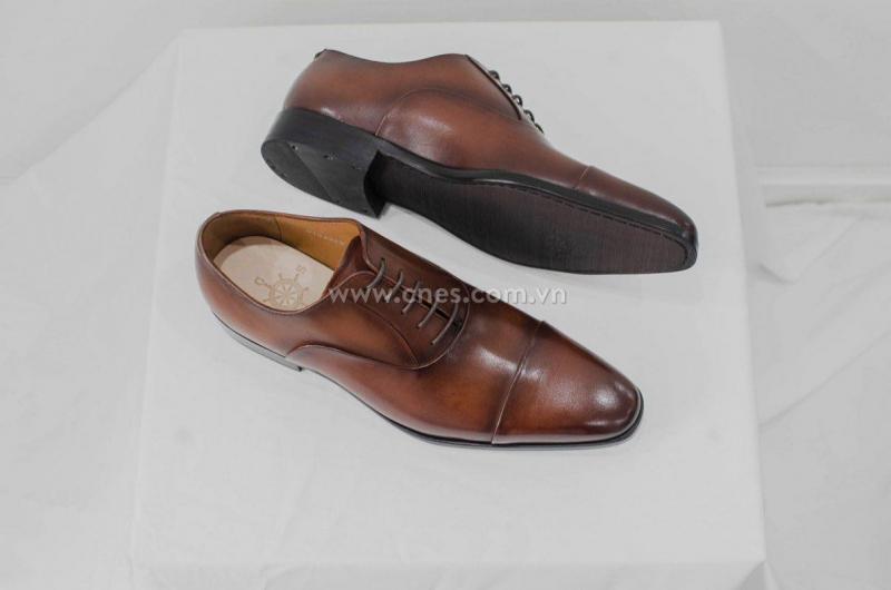 CNES Shoemaker
