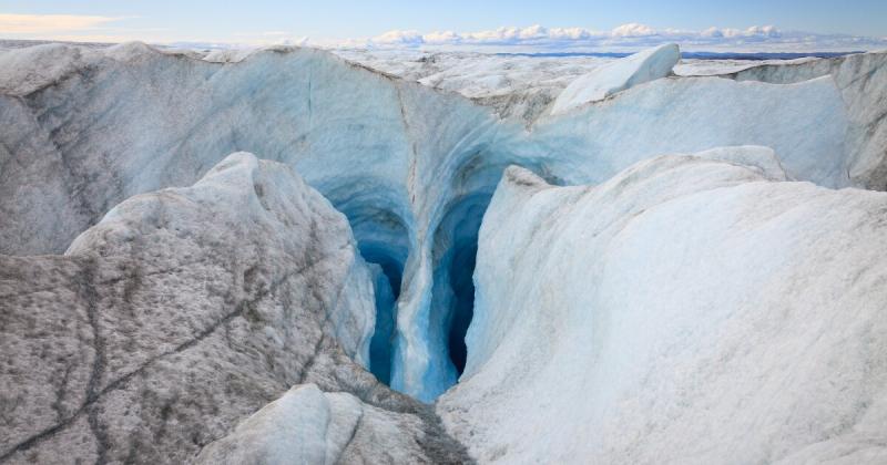 Có những thực vật hóa thạch ở Greenland dưới 1,4 km băng
