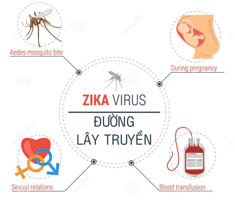 Con đường lây truyền virut Zika