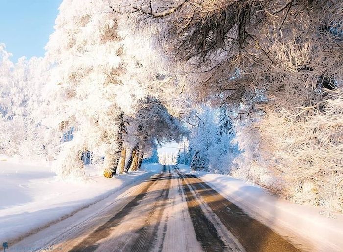 Con đường mùa đông kỳ diệu