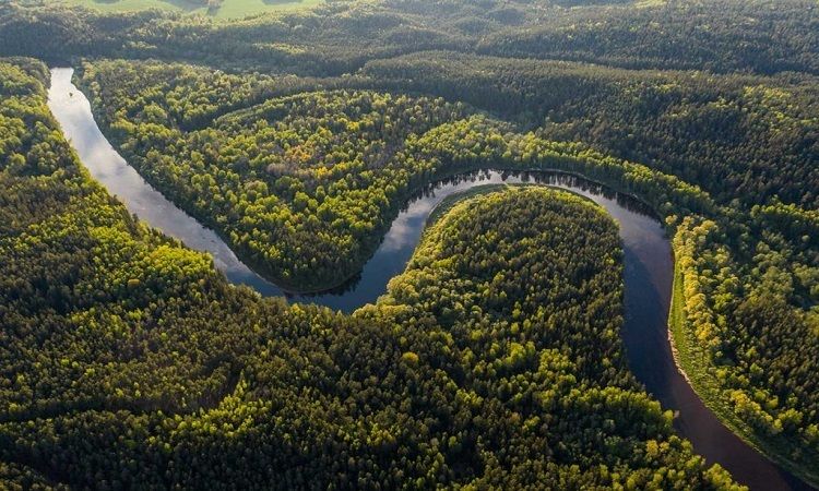Con sông dài nhất thế giới