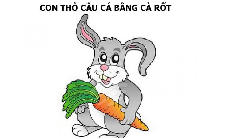 Con thỏ câu cá bằng cà rốt