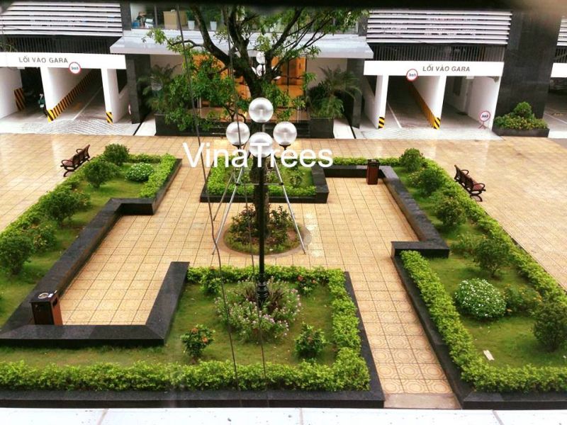 Công ty cổ phần đầu tư xây dựng và môi trường Vinatrees