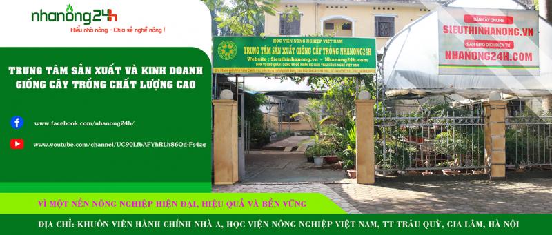 Công ty Cổ phần Hệ sinh thái Công nghệ Việt Nam (Nhanong24h)
