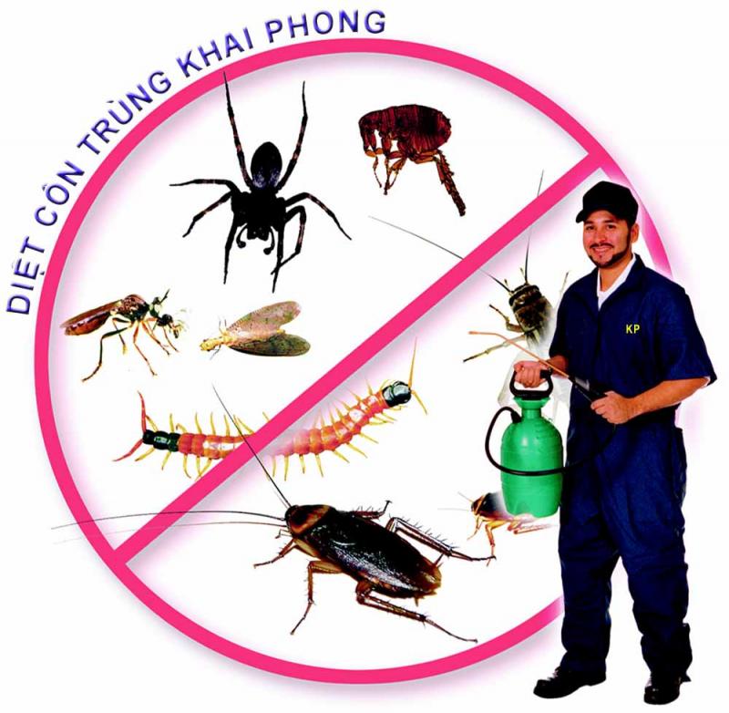 Công ty diệt mối, côn trùng Khai Phong