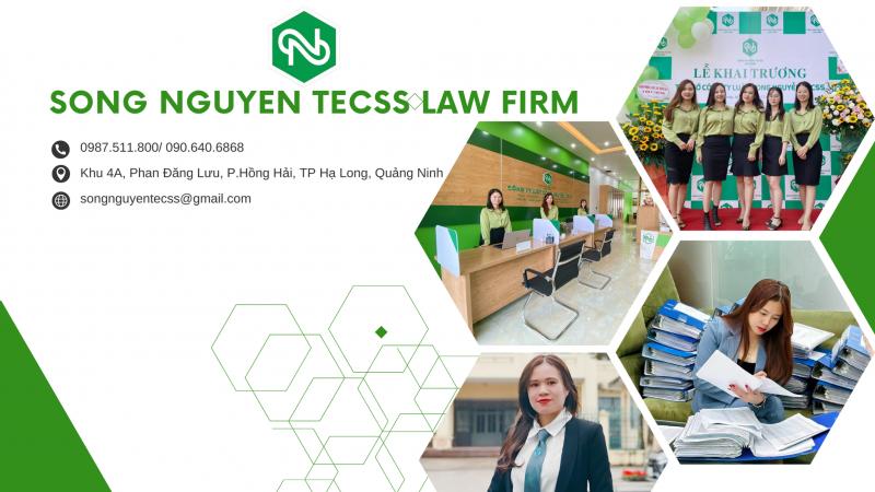 Công ty Luật Song Nguyễn TECSS