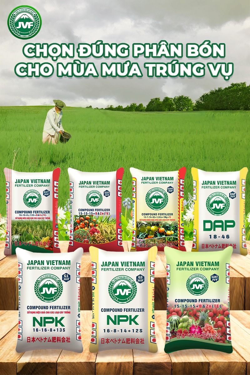 Công ty Phân Bón Việt Nhật