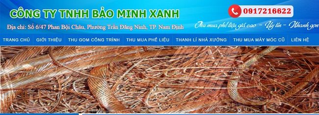 Công ty TNHH Bảo Minh Xanh