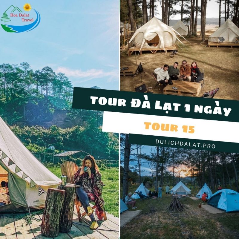 Tour du lịch Đà Lạt - Hoa Dalat Travel