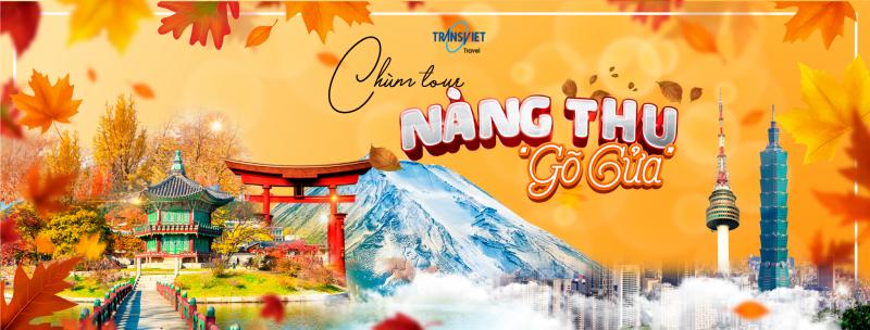 Công ty TNHH Du lịch Trần Việt - TransViet Travel