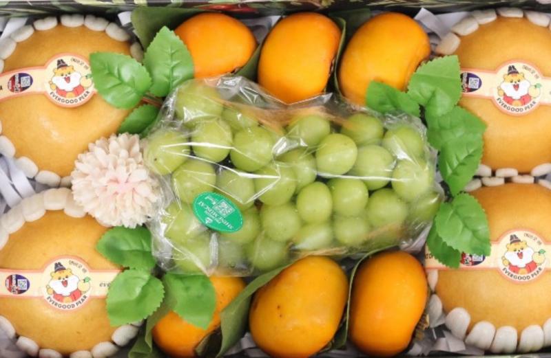 Công ty xuất nhập khẩu trái cây Cevis