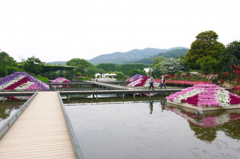 Công viên hoa tử đằng (Nhật Bản)