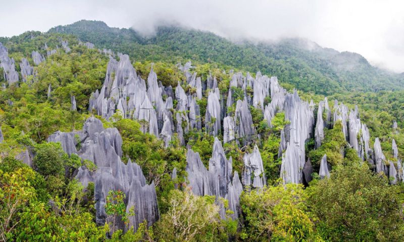 Công viên quốc gia Gunung Mulu