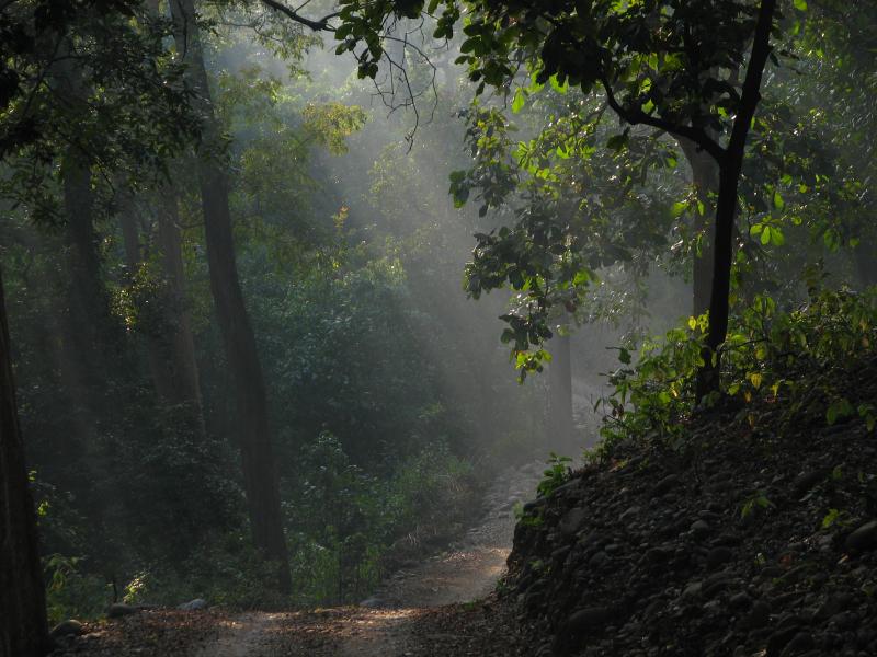 Công viên quốc gia Khangchendzonga, Ấn Độ