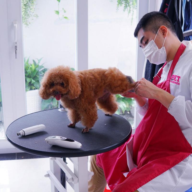 CPC Petcare - Vet Clinic, Grooming & Hotel
