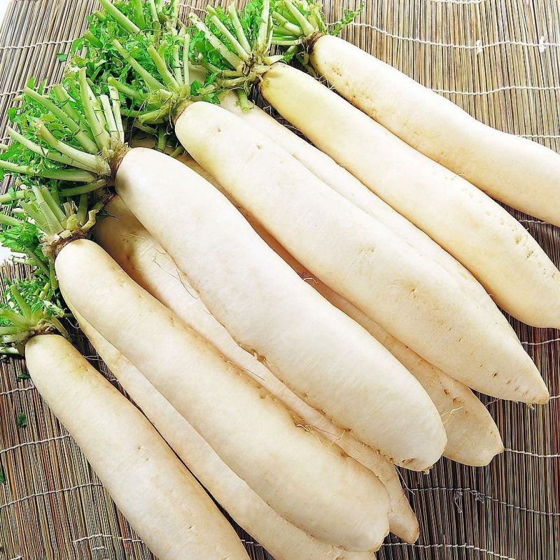 Củ cải trắng Trung Quốc