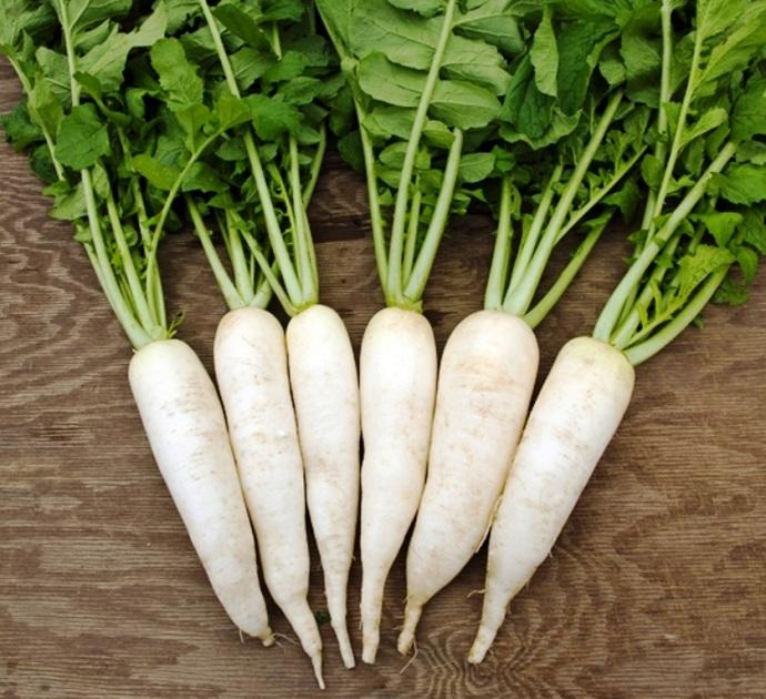 Củ cải trắng Việt Nam