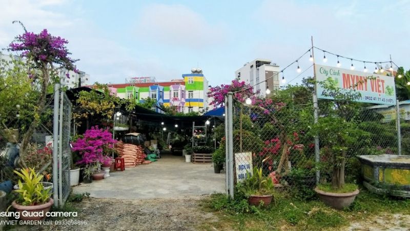 Cửa Hàng Cây cảnh MymyViet Garden - Đà Nẵng