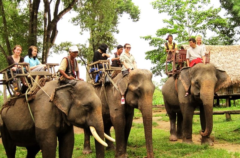 Cưỡi voi là dịch vụ du lịch hút khách nhất ở Bản Đôn