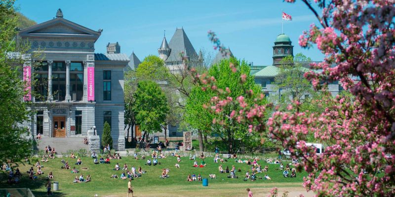 Trường đại học McGill - ngôi trường đào tạo ngành y tốt nhất tại Canada