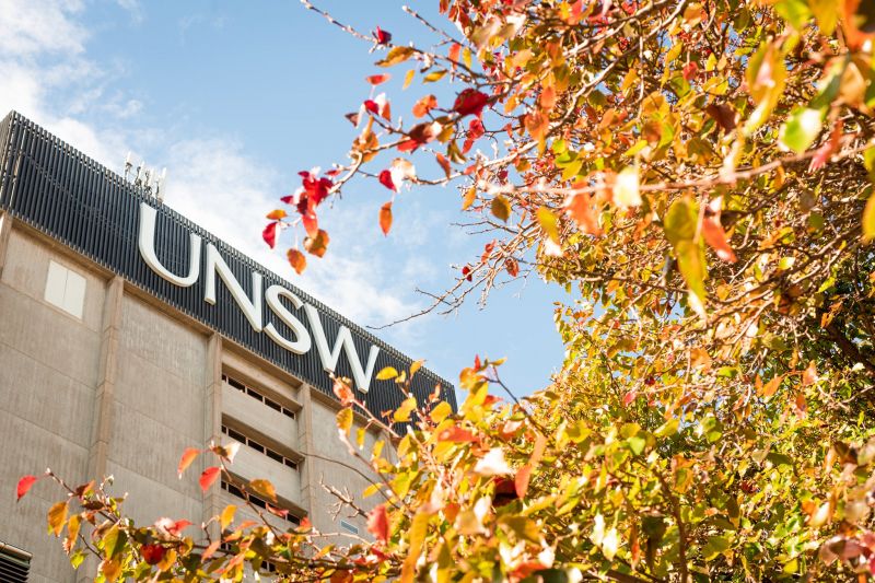Đại học New South Wales (New South Wales University)