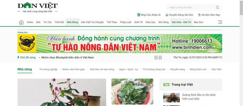 Website Dân Việt