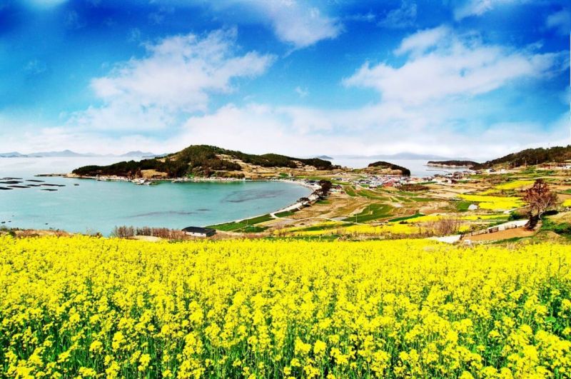 Đảo Cheongsando