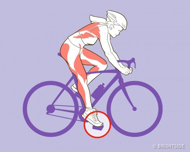 Một mẹo nhỏ để giúp việc tập luyện đạt hiệu quả là bạn nên điều chỉnh cho phần yên xe sao cho chân bạn phải duỗi ra hết cỡ khi đạp