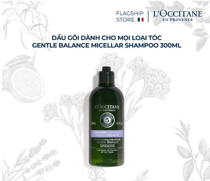Dầu gội L'Occitane Aromachologie Gentle & Balance Micellar Shampoo