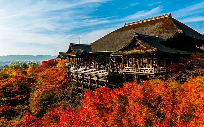 Kyoto giống như hiện thân của nước Nhật thời xa xưa