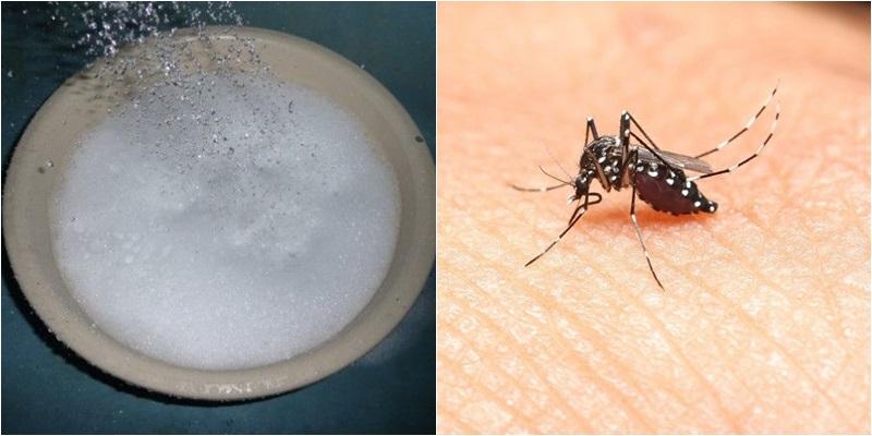 Dùng nước xà phòng tạo bẩy diệt muỗi hiệu quả