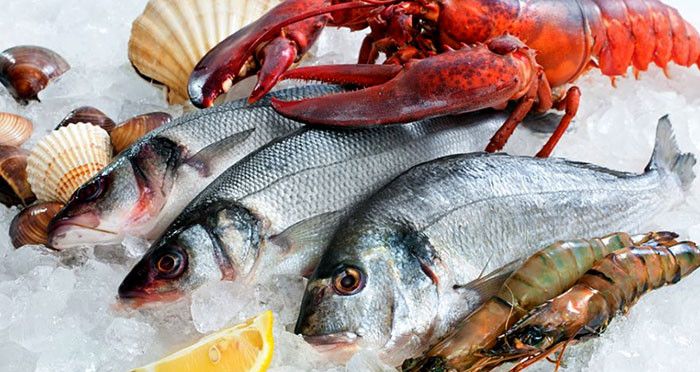 Dinh dưỡng từ động vật và thủy hải sản