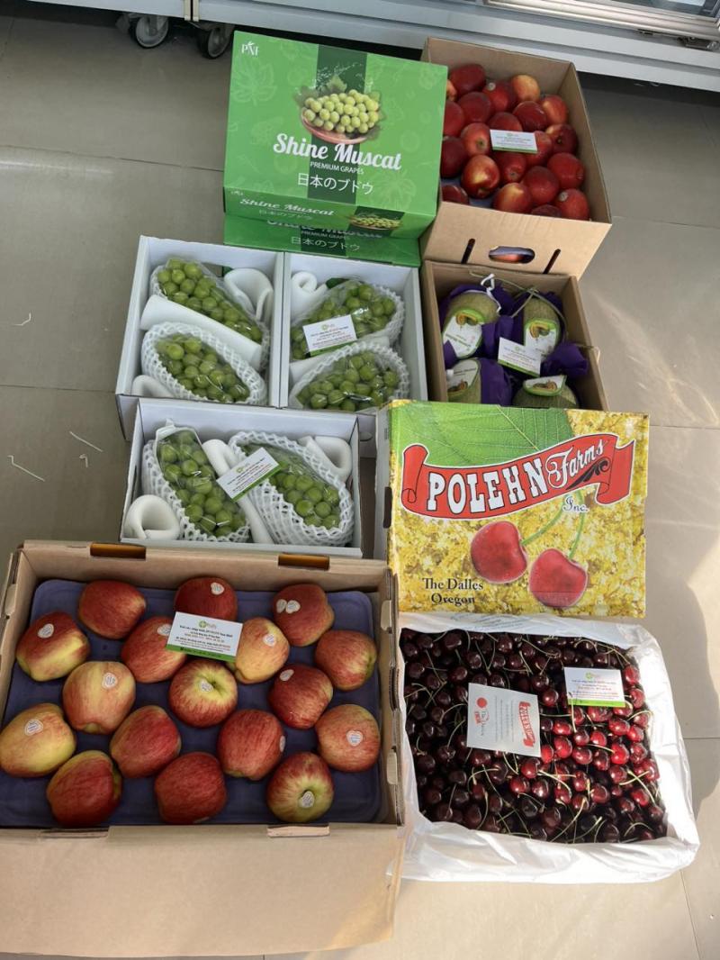 DP Fruits - Trái cây nhập khẩu Nam Định