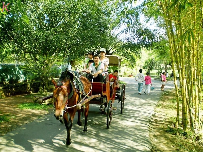 Những chiếc xe ngựa sẽ đưa bạn dạo quanh Thới Sơn để ngắm nhìn những vườn cây bạt ngàn