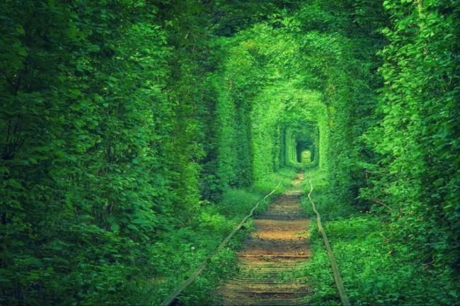 Đường hầm tình yêu ở vùng Rivne, Ukraina