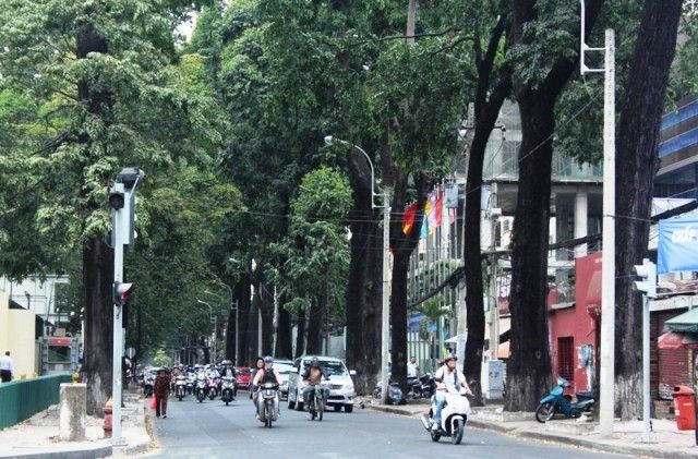 Con đường mua sắm chất nhất Sài Gòn – Nguyễn Đình Chiểu