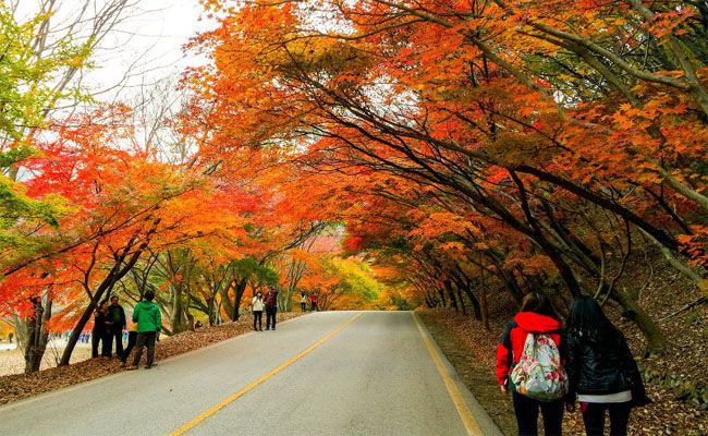 Đường Tròn của Công viên Namsan