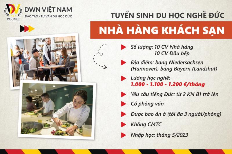 DWN Việt Nam