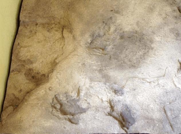 Footprints Of Eve