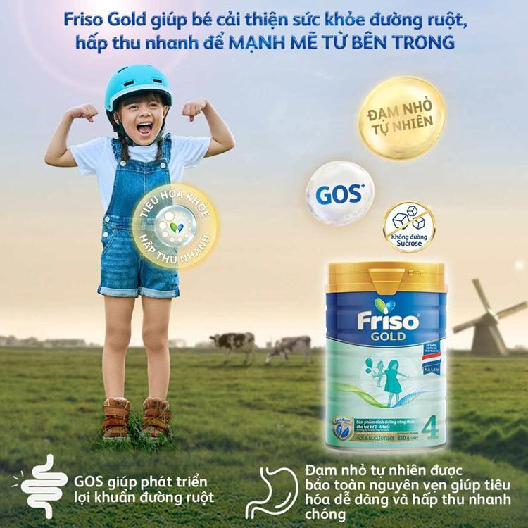 Friso Gold 4