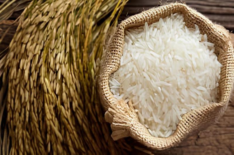 Hạt gạo Bắc Hương Thái Bình nhỏ dài, trắng đều